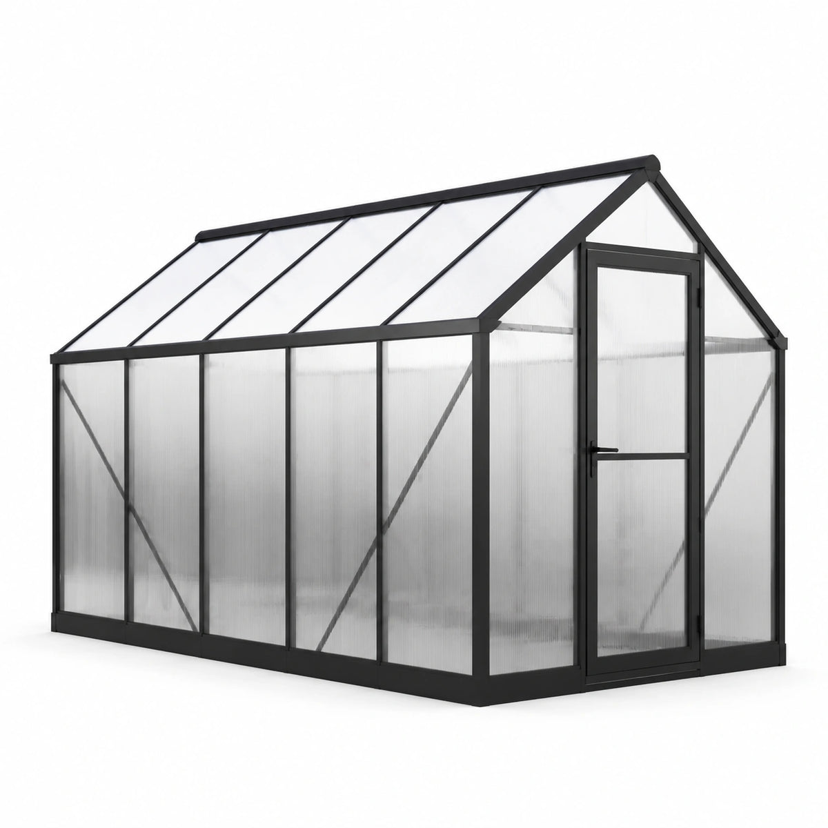 Aluminium-Gewächshaus 300 × 190 × 200 cm mit Polycarbonatplatten und Tür, Schwarz/Transparent