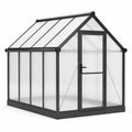 Freistehendes Aluminium-Gewächshaus 250 × 190 × 195 cm mit Polycarbonatplatten und Tür, Schwarz/Transparent